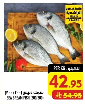 سمك دنيس