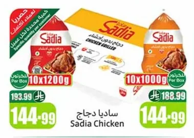 ساديا دجاج