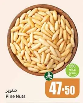 Pine Nuts