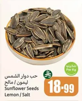 Sunflower Seeds Lemon / Salt