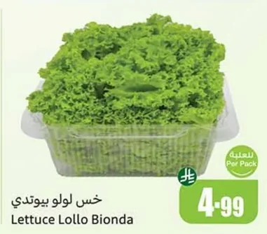 Lettuce Lollo Bionda