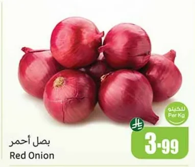 Red Onion