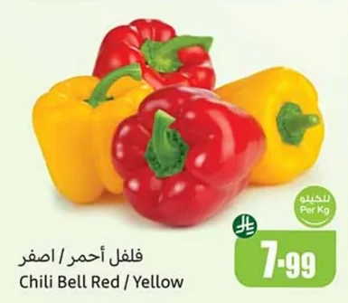 Chili Bell Red / Yellow