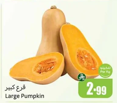 Large Pumpkin