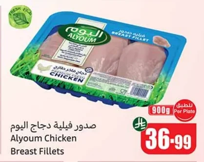 صدور فيليه دجاج