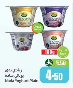 زبادي ندى