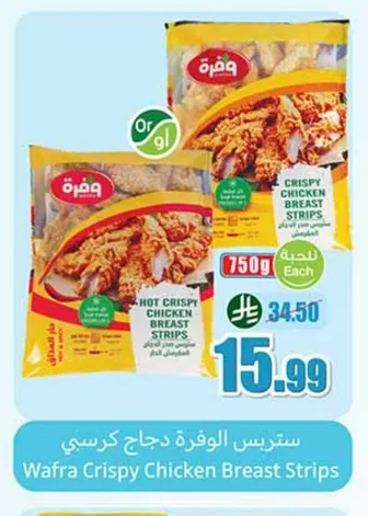 وفرة ستربس الدجاج