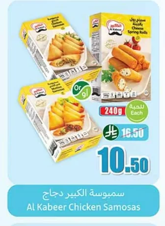 سمبوسة الكبير دجاج