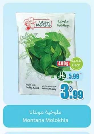 Montana Molokhia