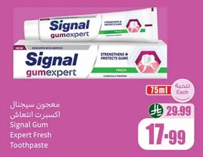 Signal Expert Freshness Toothpaste