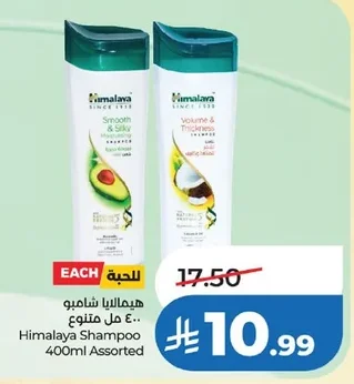 Shampoo
