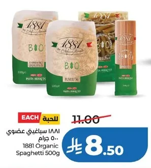 ١٨٨١ سباغتي عضوي