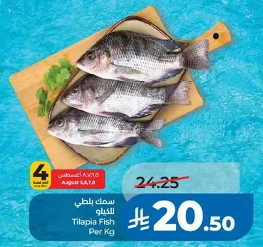 سمك بلطي
