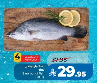 Baramundi Fish