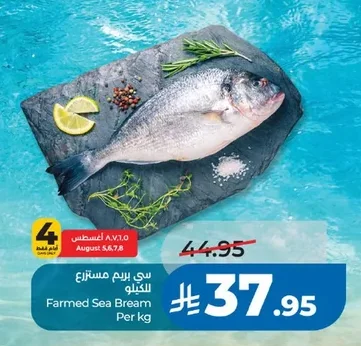 Farmed Sea Bream