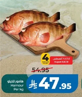 هامور