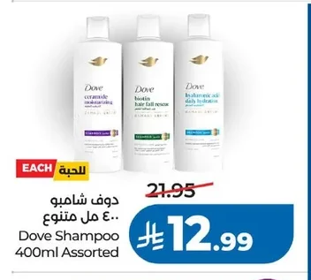 دوف شامبو