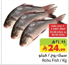 سمك روح