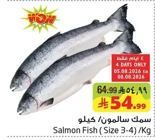 Salmon Fish (Size 3-4)