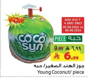 جوز الهند الصغير