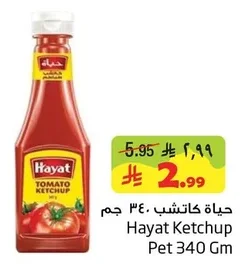 Hayat Ketchup
