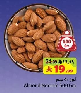 لوز