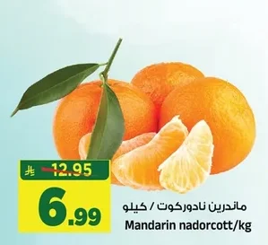 ماندرين نادورکوت