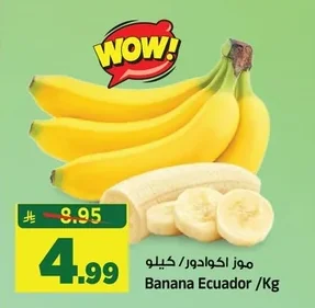 موز اكوادور