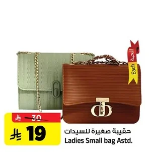 حقيبة صغيرة للسيدات