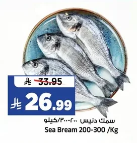 Sea Bream