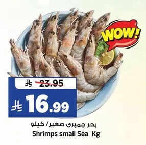 Shrimps small Sea