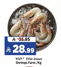 جمبرى مزارع