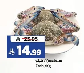 سلطعون