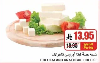 CHEESALAND ANALOGUE CHEESE