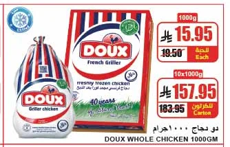 دجاج