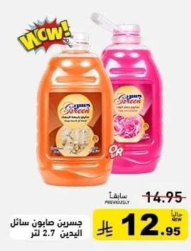 GSREEN Liquid Hand Soap