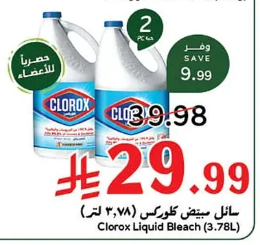 Clorox Bleach