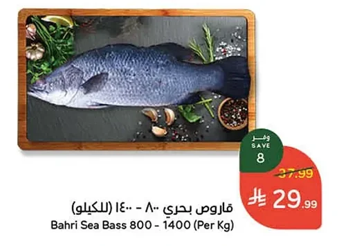 قاروص بحري
