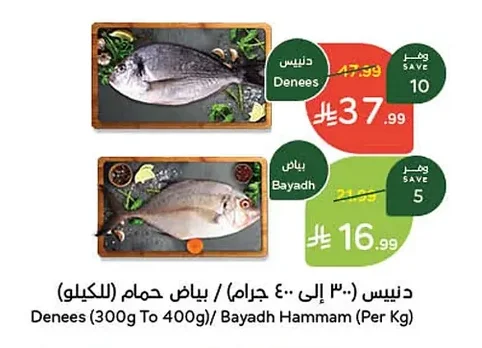 دينيس / بياض حمام