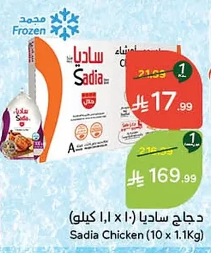 دجاج ساديا