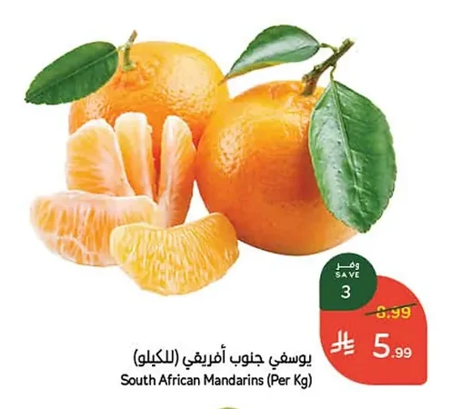 يوسفي جنوب افريقي (للكيلو)