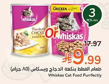 Cat Food Chicken Flavor