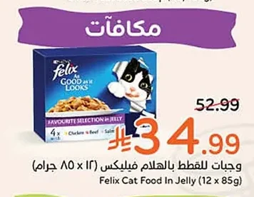 Cat Food in Jelly