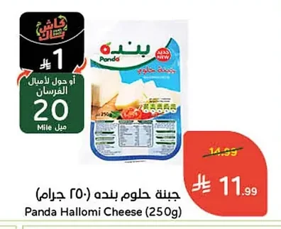 Halloumi Cheese