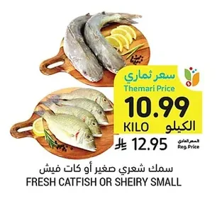 سمك شعري صغير أو كات فيش
