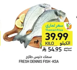 سمك دينيس طازج