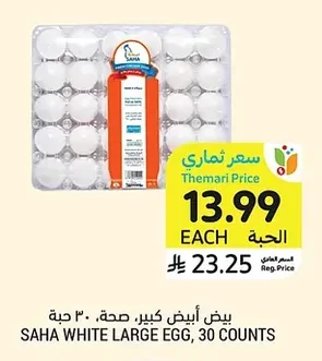 Saha Large White Eggs