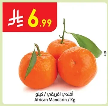 أفندي أفريقي