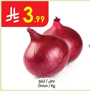 بصل
