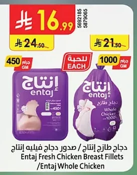 صدور دجاج فيليه / دجاج طازج